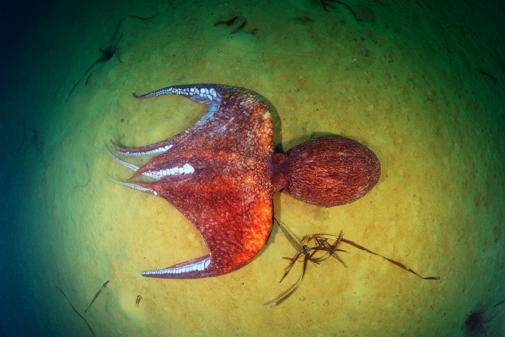 Фотография автора Андрей Нарчук