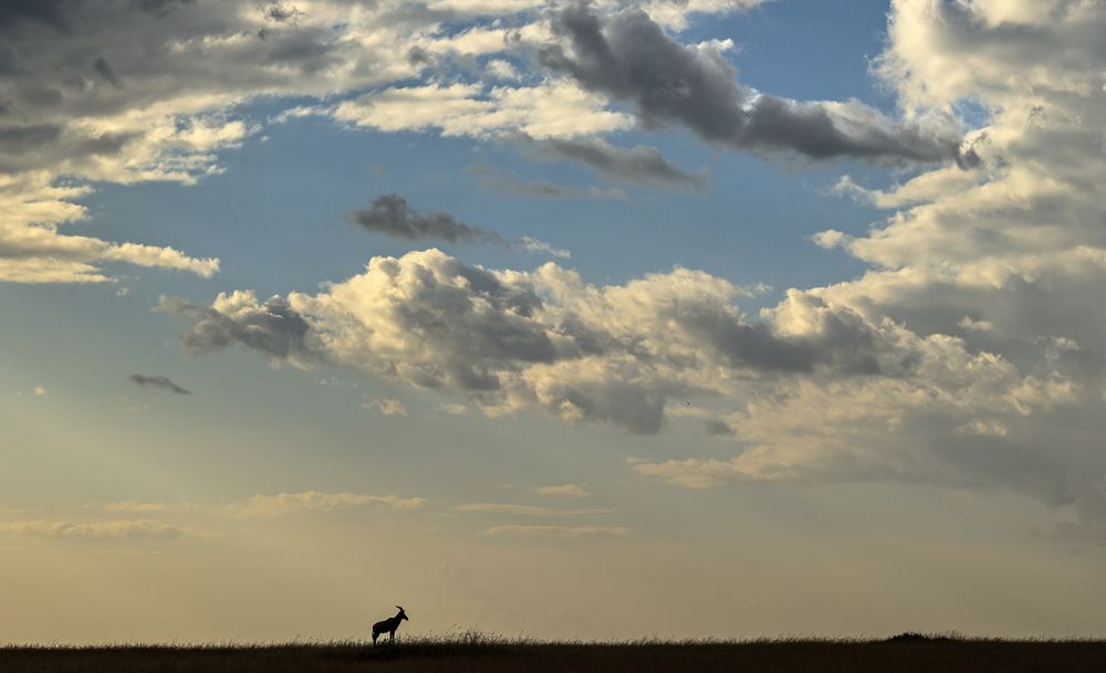 Challenging the Clouds!