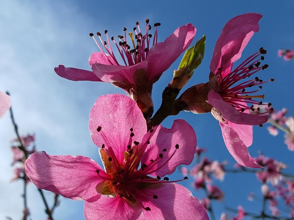 Фотография автора OXANA NAUMOVA