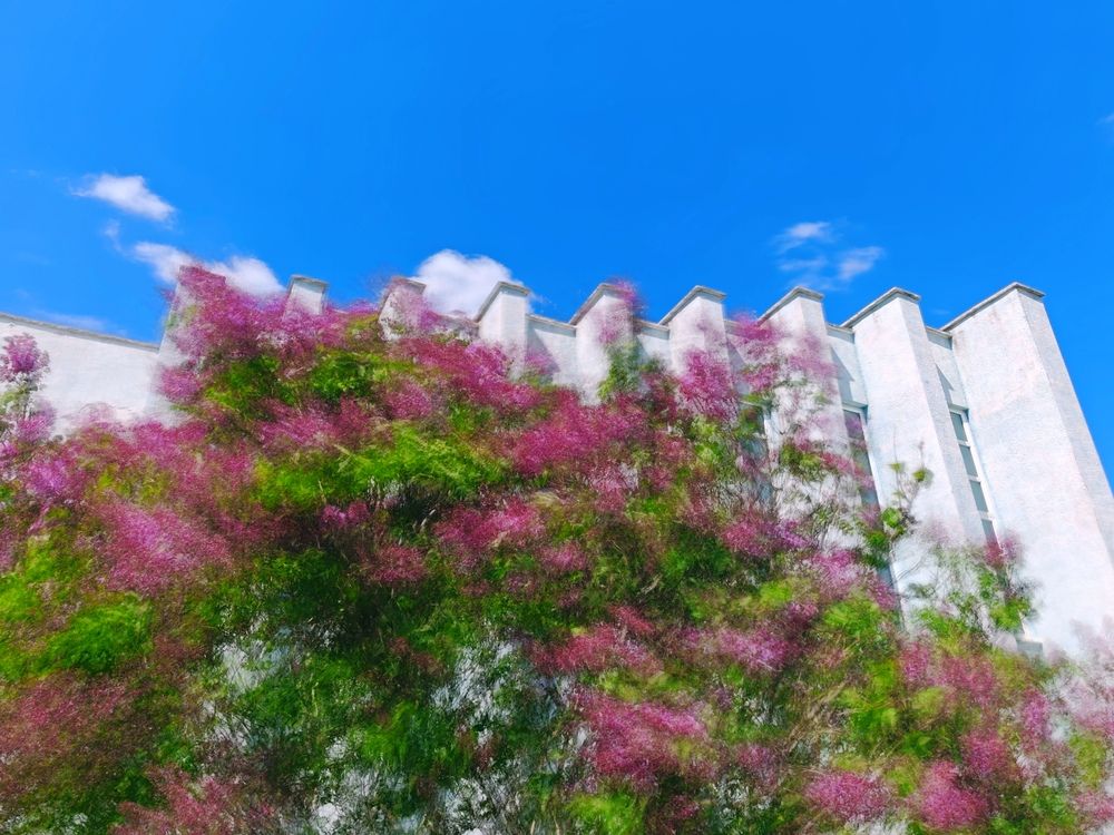 Фотография автора OXANA NAUMOVA