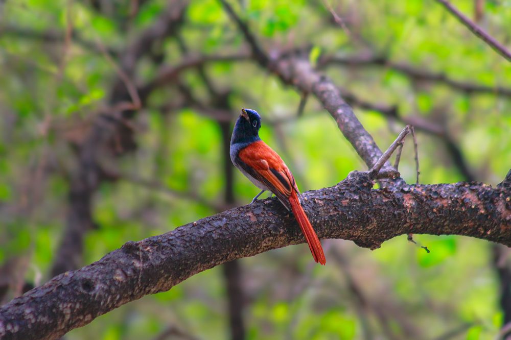 Photograph by Ziad Rizwan