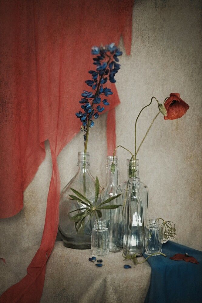 Photograph by Татьяна Максакова