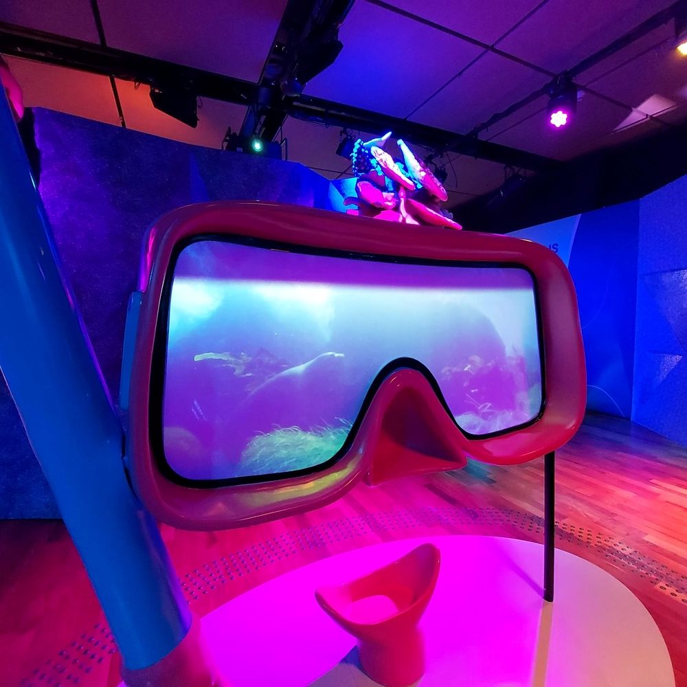 Photograph by Rosane Cortez