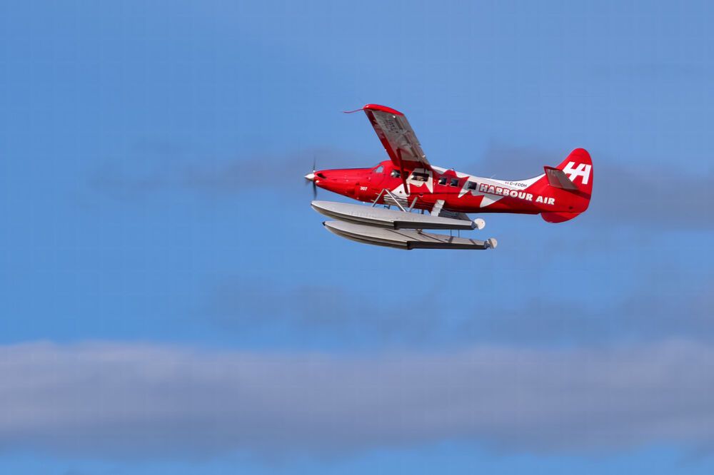 Photograph by A. G. Bisschop