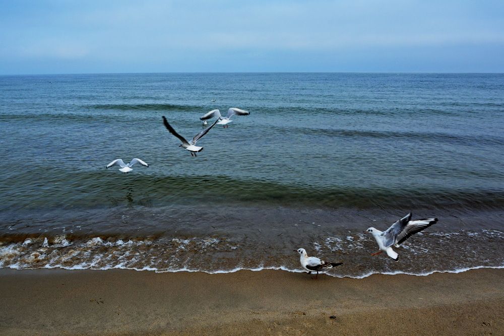 Photograph by Анастасия Смирнова