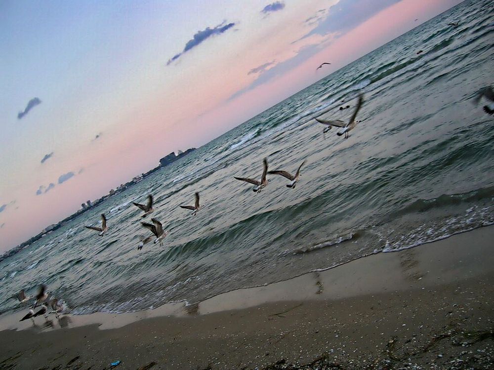 Photograph by Анастасия Смирнова