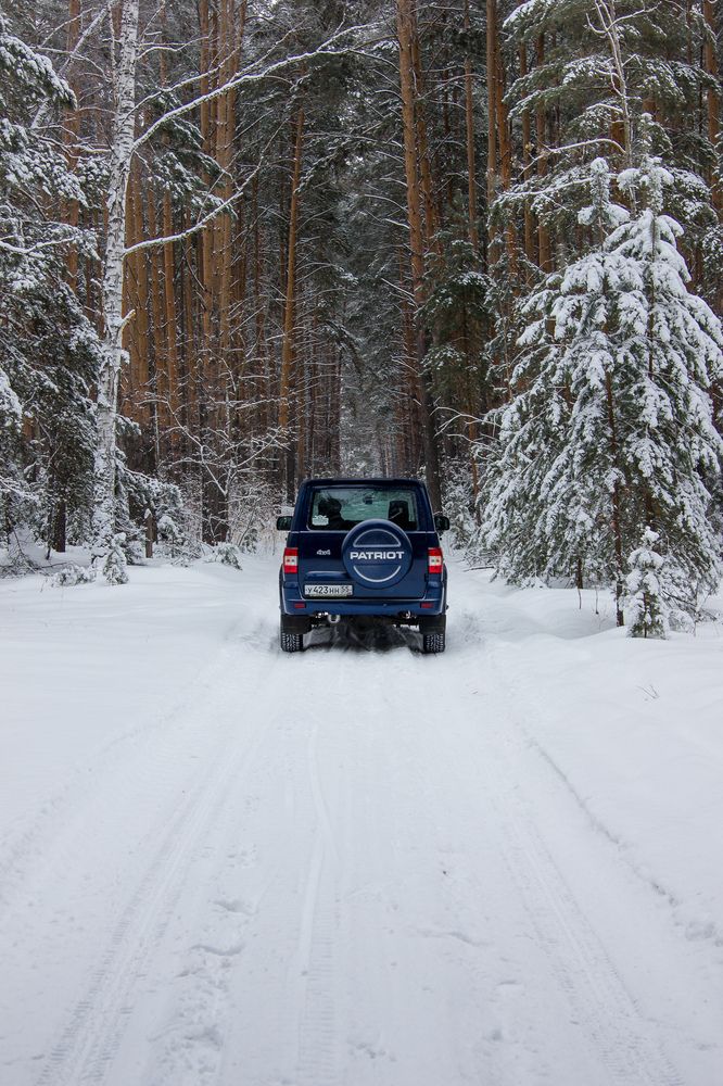 Photograph by Елена Абрамова