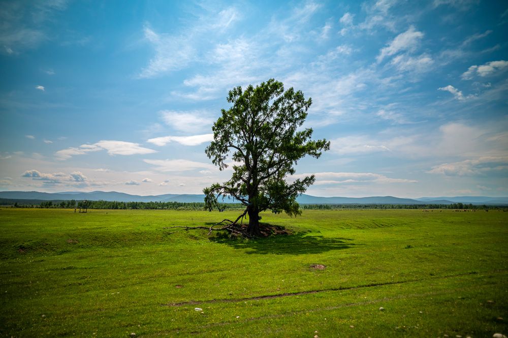 Photograph by Evgeniy