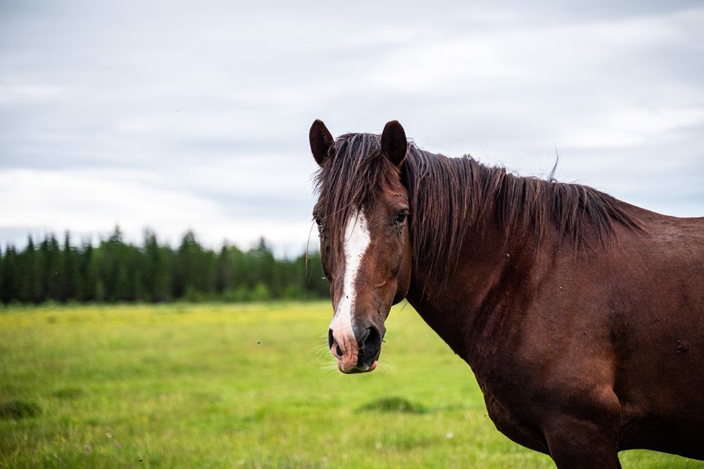 Photograph by Evgeniy