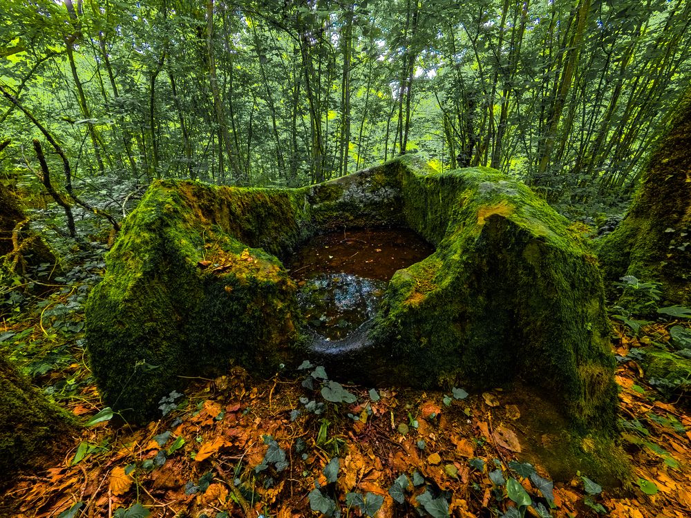 Photograph by Игорь Чечин