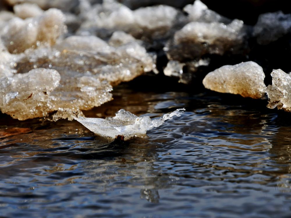 Photograph by Ксения Мироненко