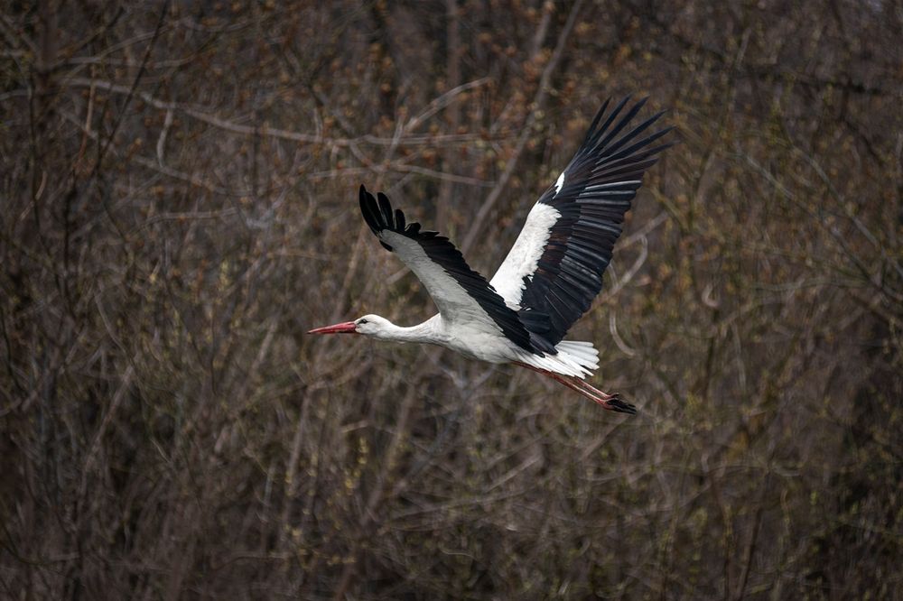 Photograph by Сергей Степанов