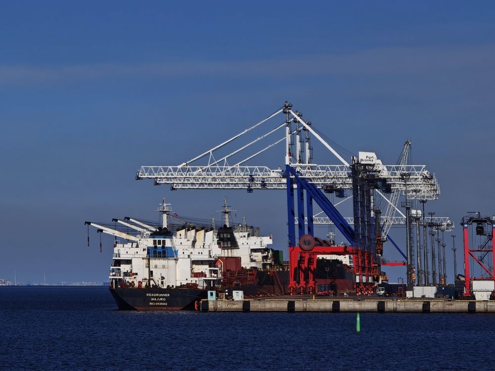 Фотография автора Наташа Данилова