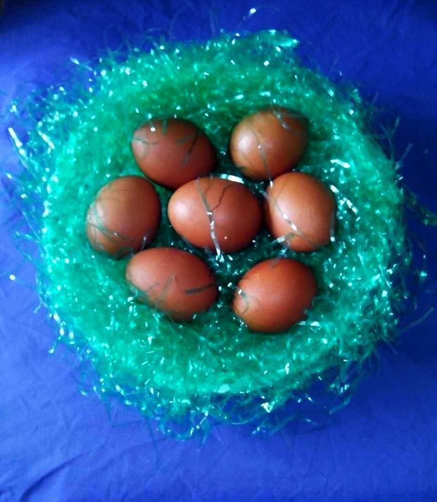 Photograph by Людмила Ковалева