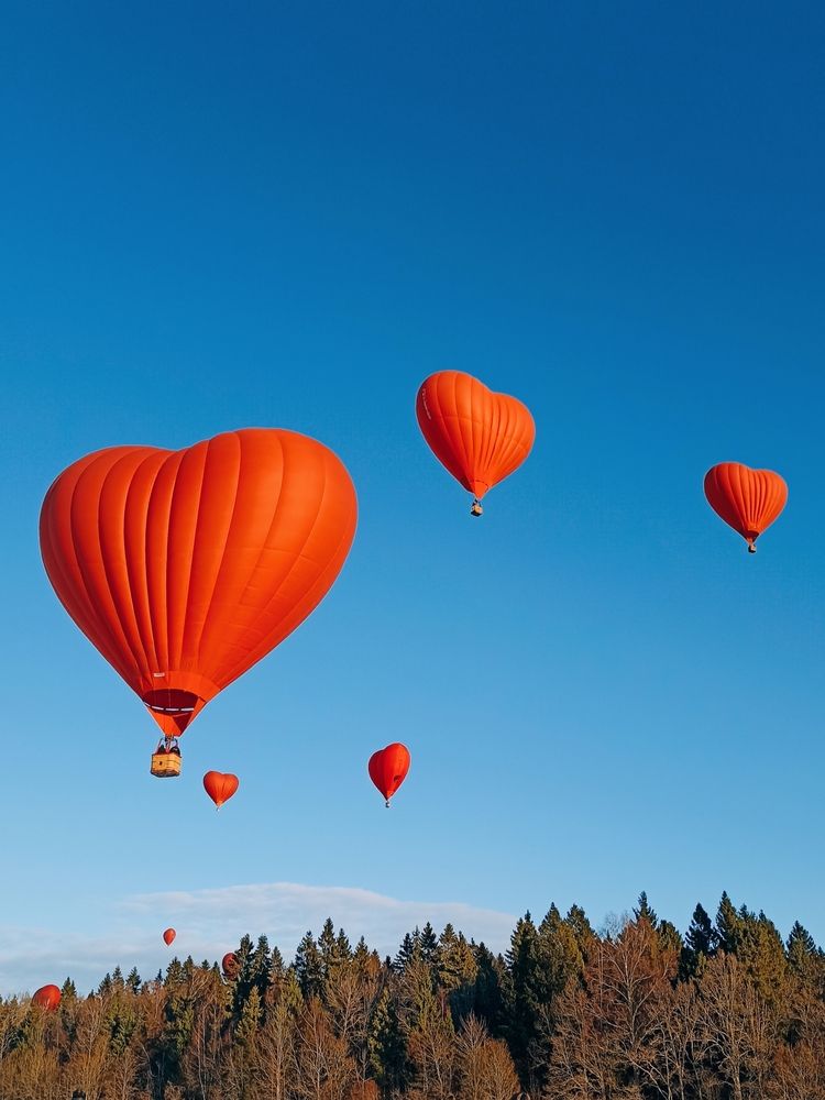 Photograph by Анастасия