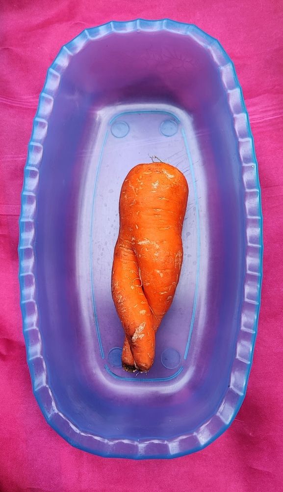 Photograph by Елена Юдина