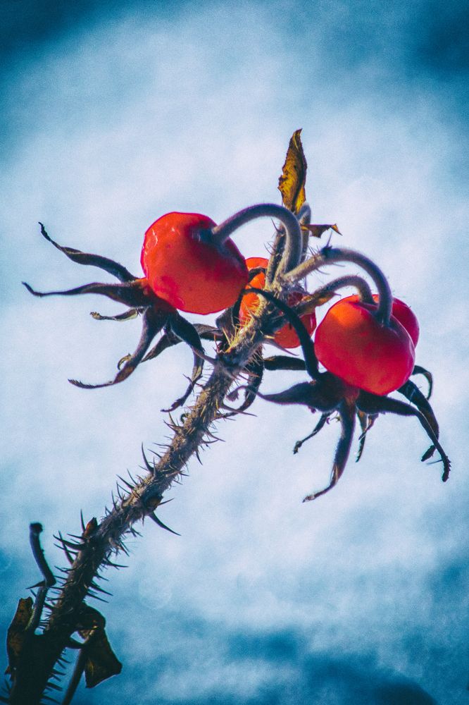 Photograph by Сергей Феофанов