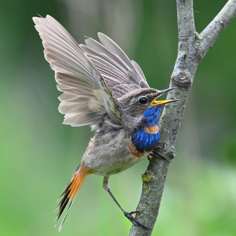 Photograph by Енушевский Георгий