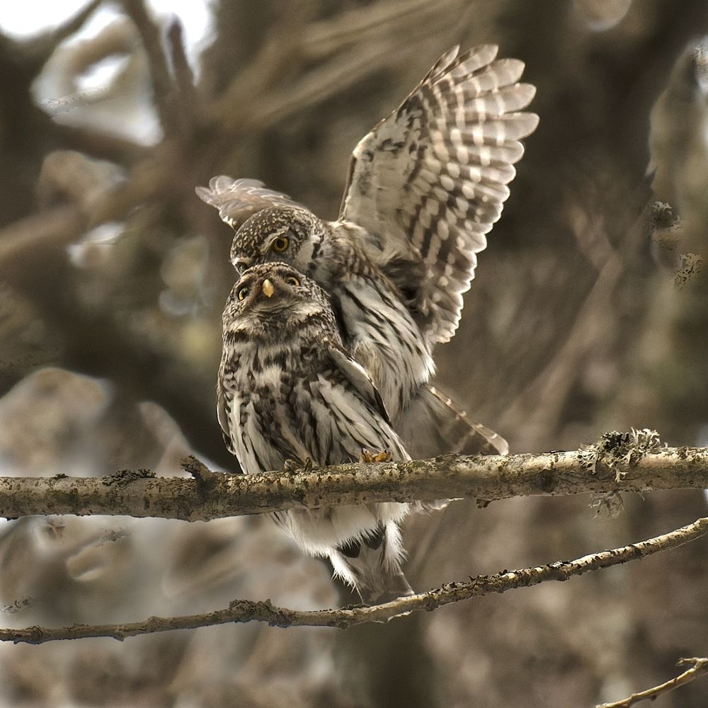 Photograph by Енушевский Георгий