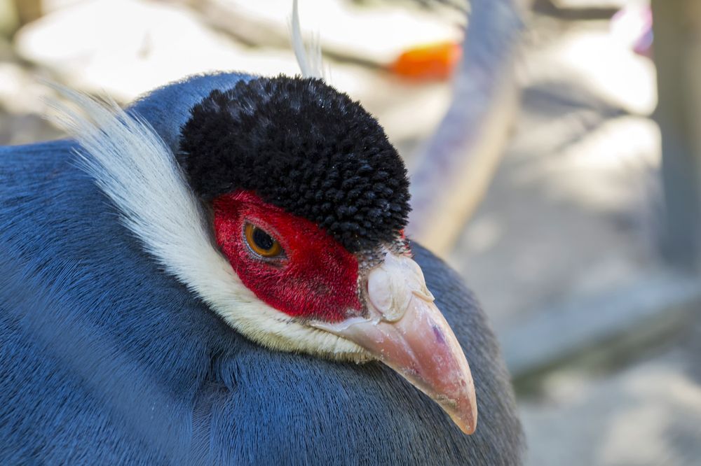 Photograph by Сергей Феофанов