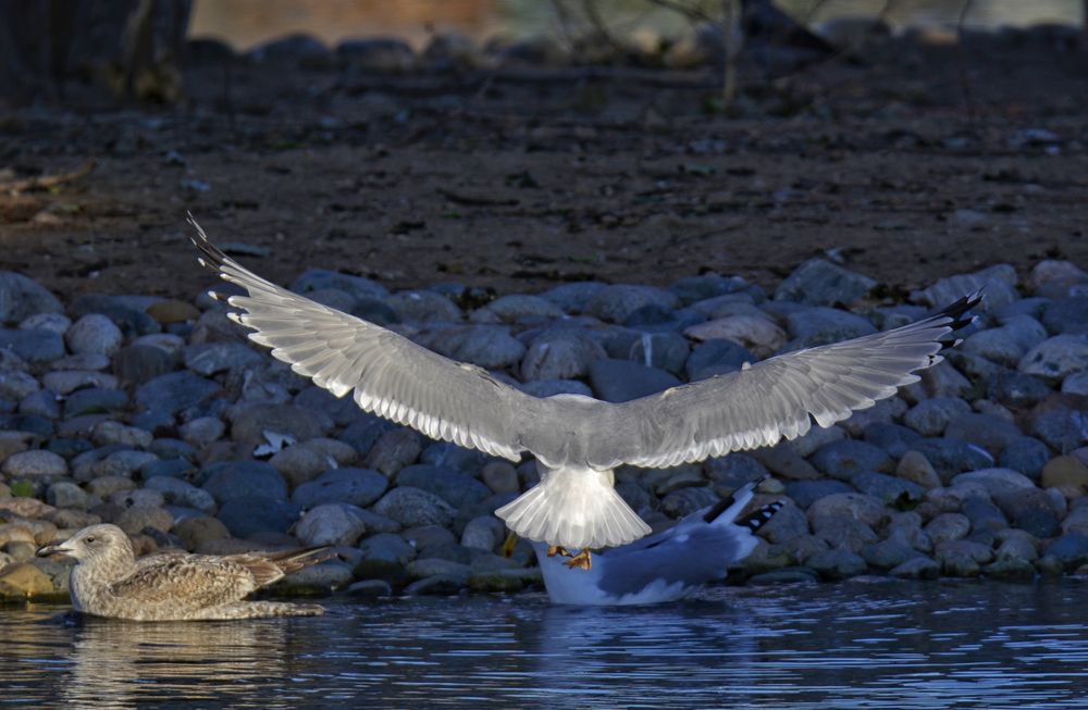 Photograph by Владислав Кравцов