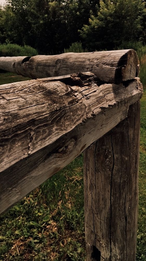 Photograph by Елена Гусева