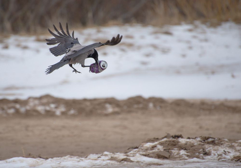 Фотография автора Aлексей Игнатьев