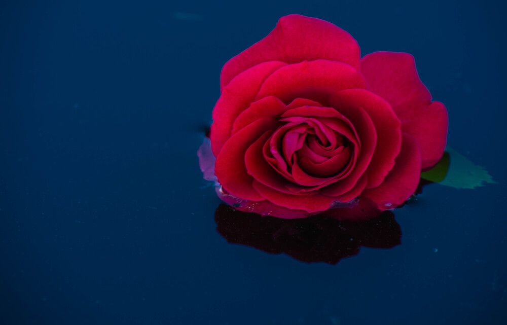 Фотография автора Aлексей Игнатьев