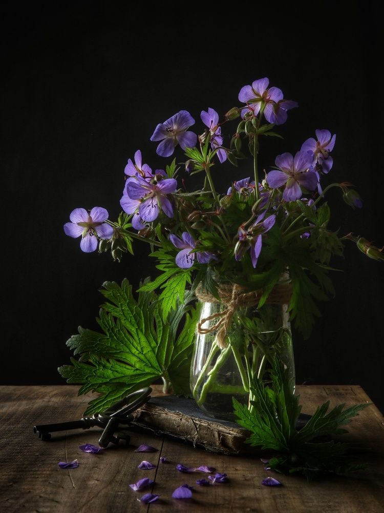 Photograph by Angelica Medvedeva