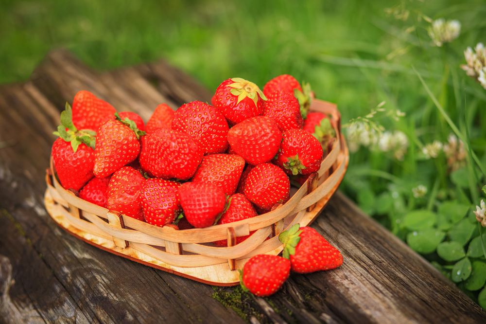 Photograph by Елена Шмырова