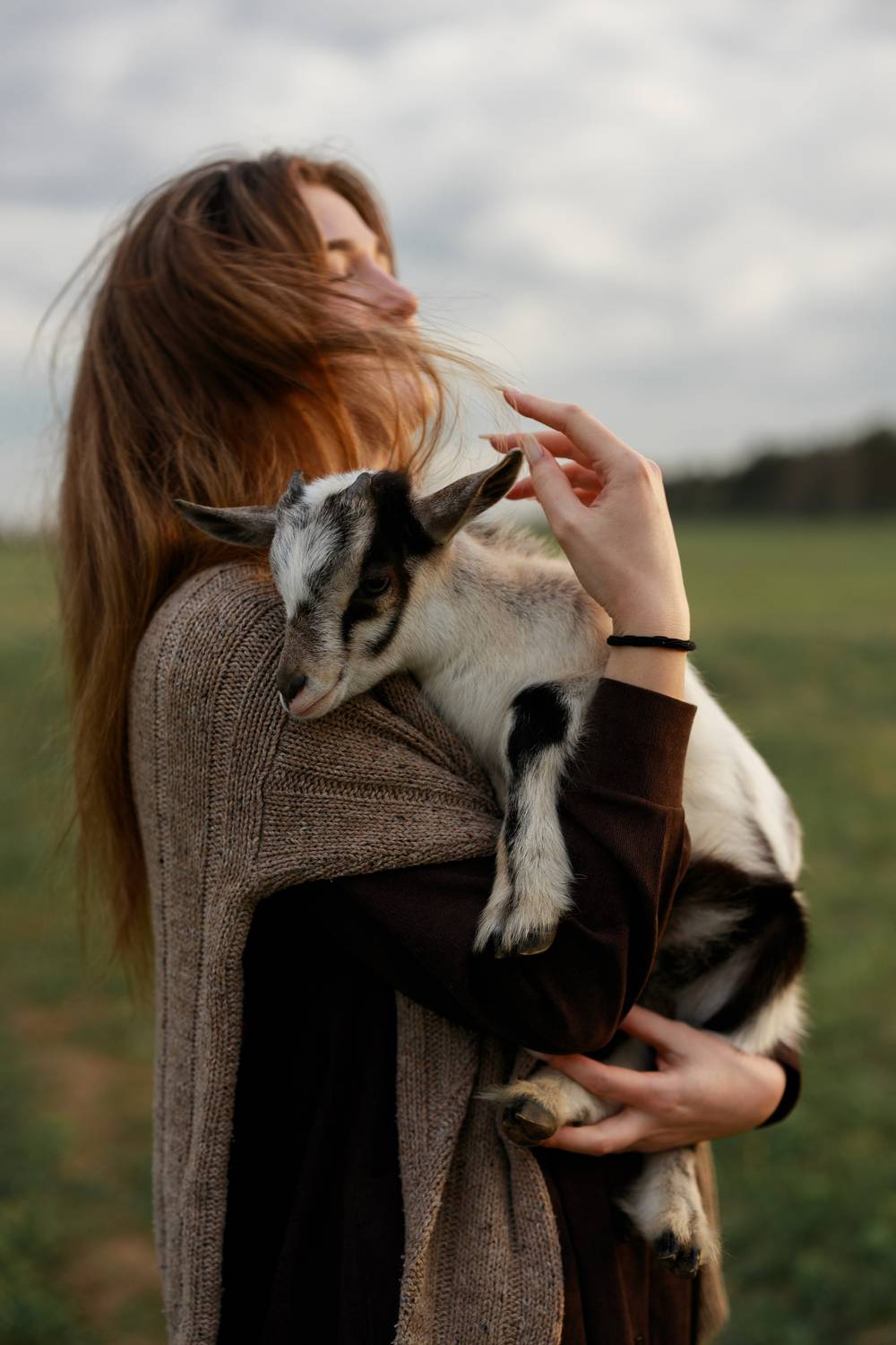 Photo #12343075