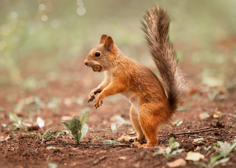 Photograph by Тамара Вотинцева