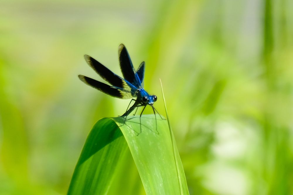 Photograph by Елена Рянцева