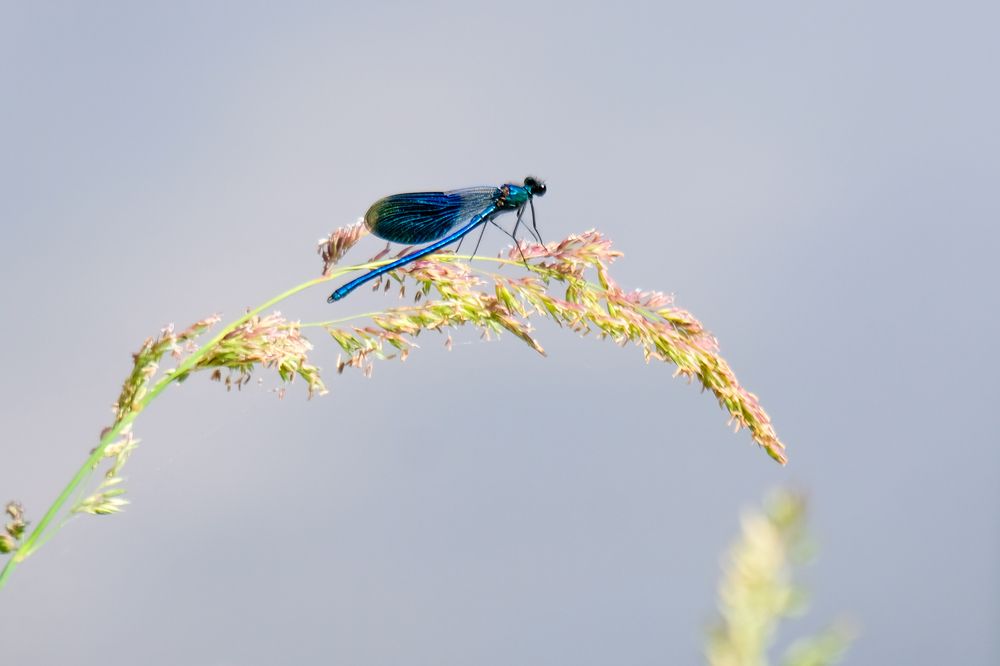 Photograph by Елена Рянцева