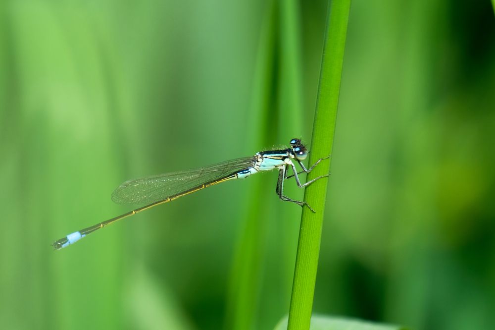 Photograph by Елена Рянцева