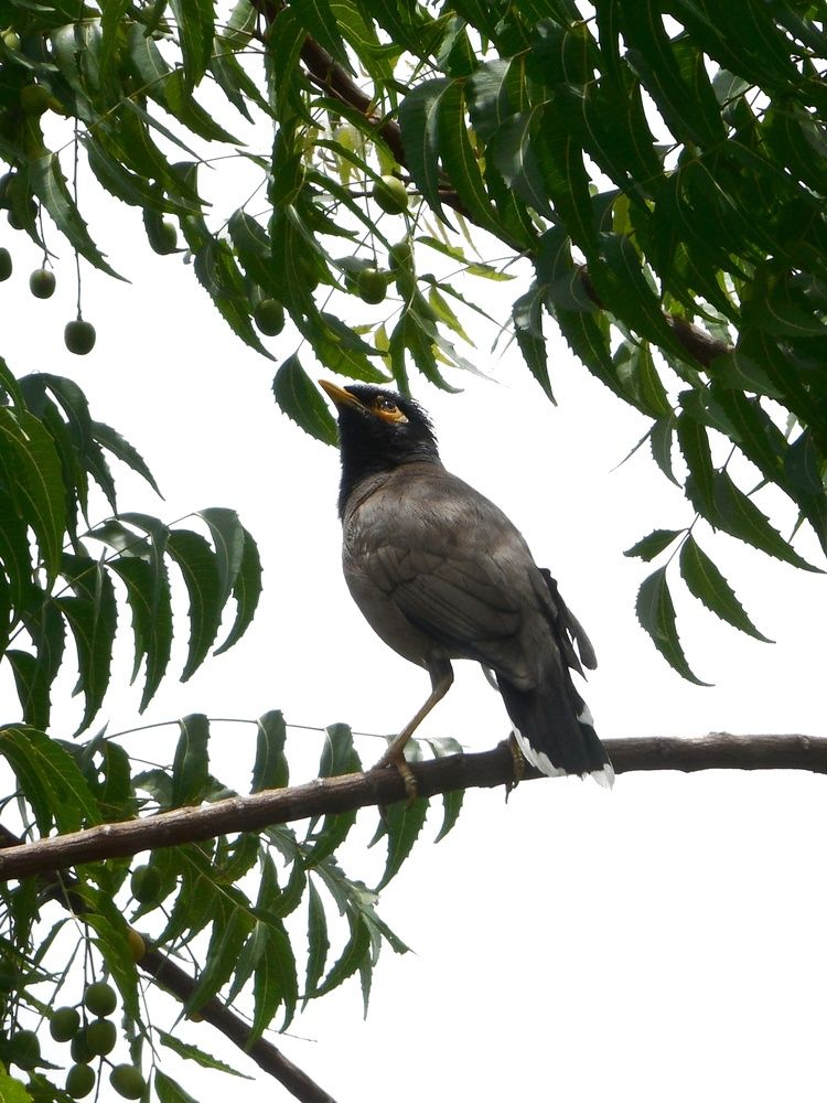 Photograph by Gajjar Aksh