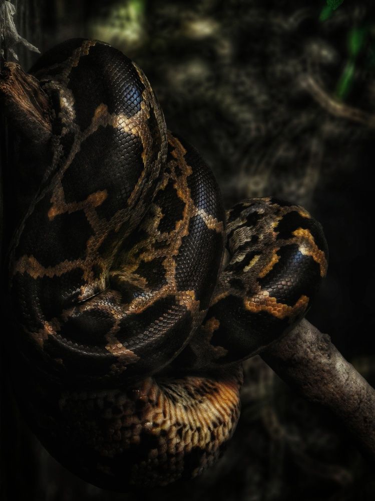 Photograph by Gajjar Aksh