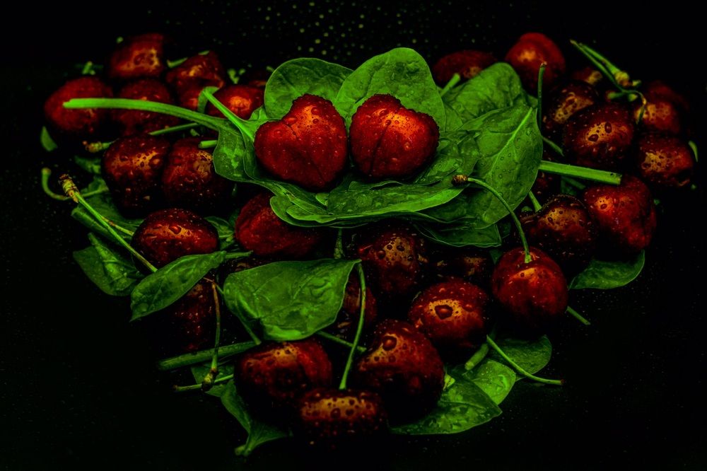 Photograph by Вячеслав Савицкий