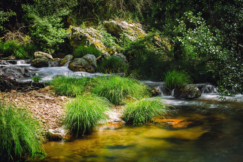 Photograph by Veaceslav Chisalita