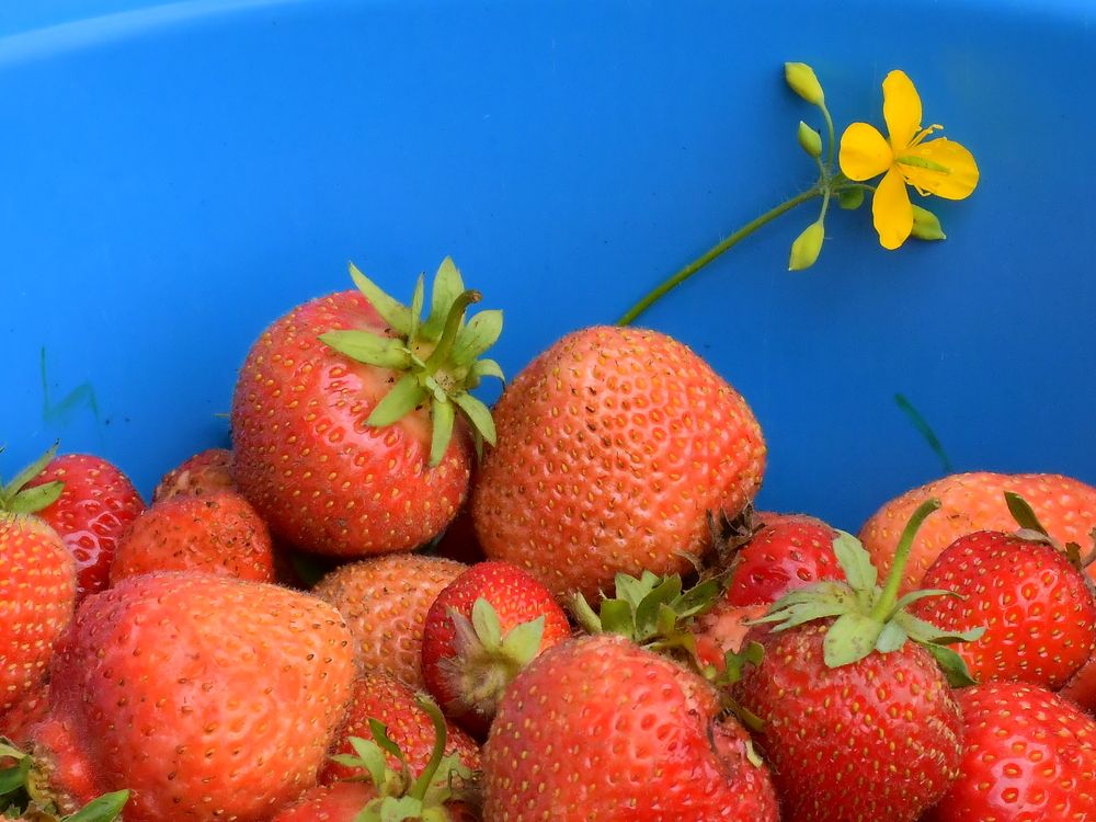 Photograph by Николай Абакумов