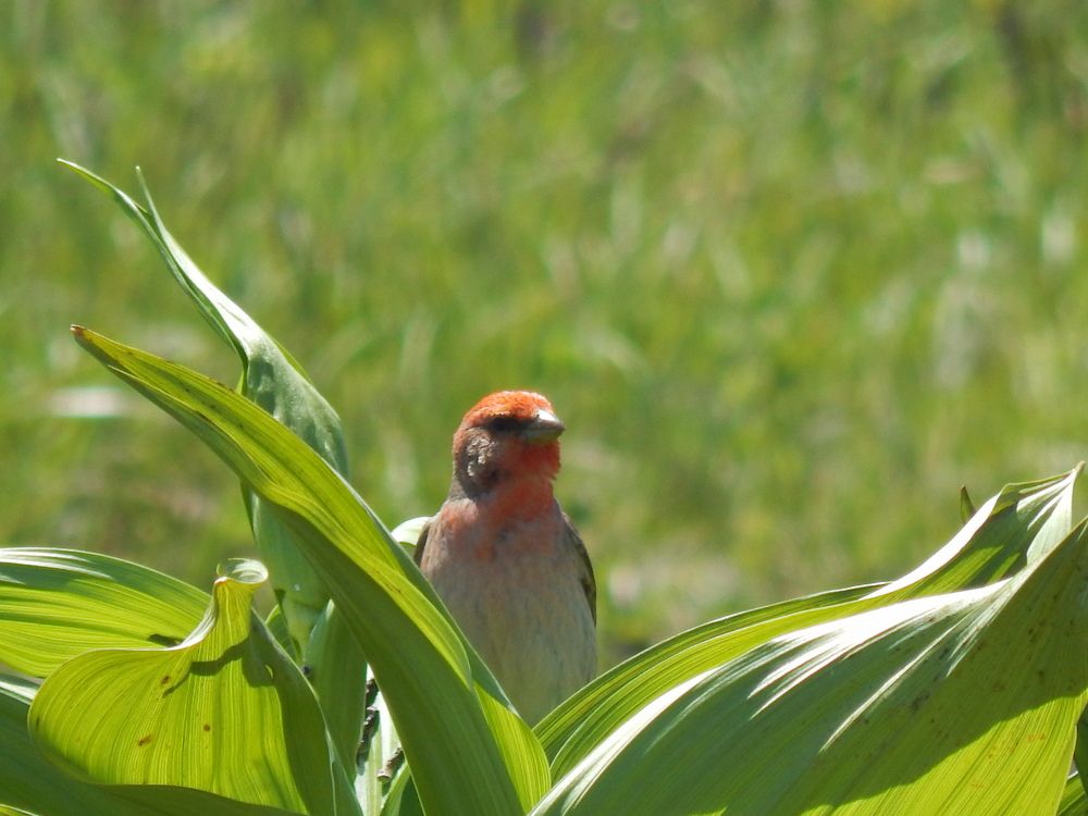 Photograph by Владимир