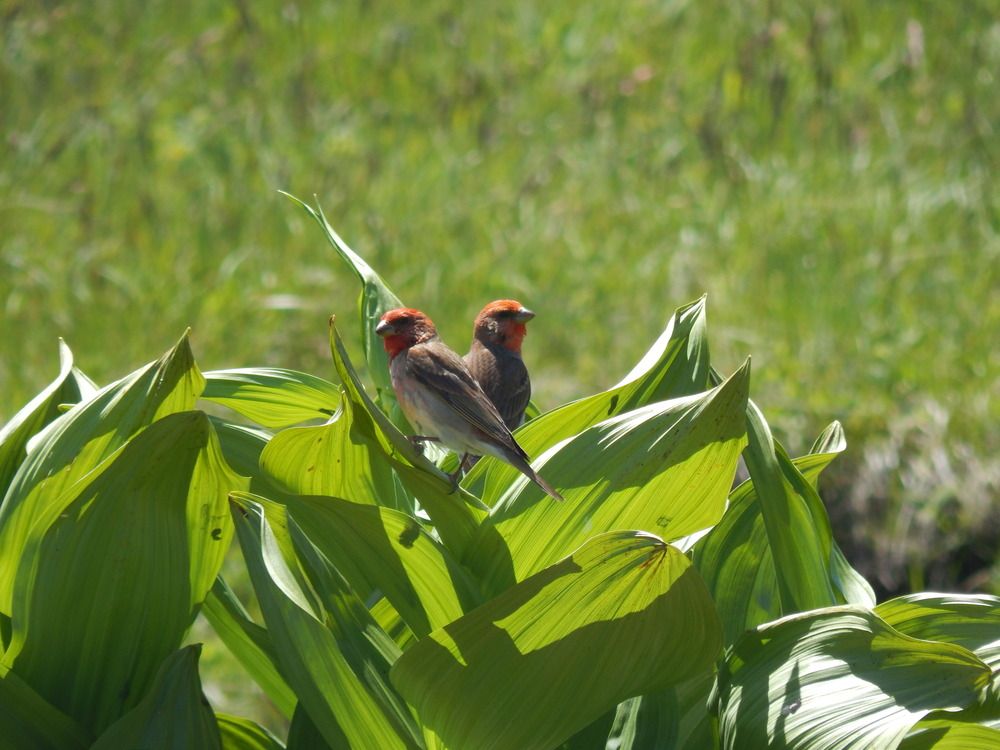 Photograph by Владимир