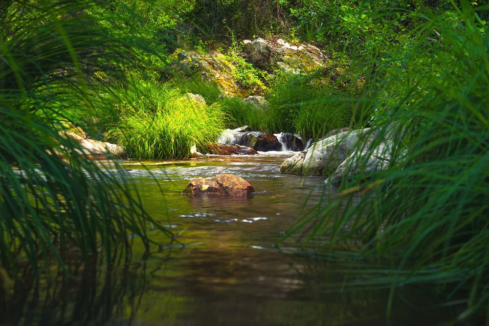 Photograph by Veaceslav Chisalita