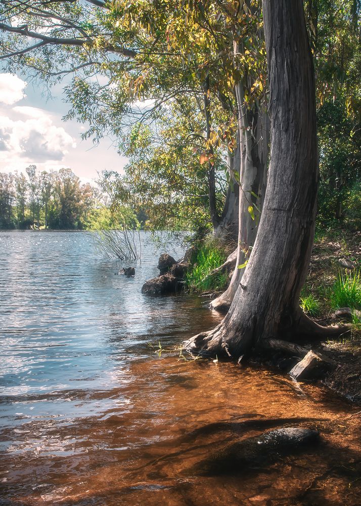 Photograph by Veaceslav Chisalita