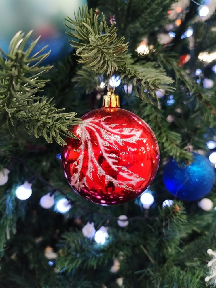 Photograph by Юлия Ю.