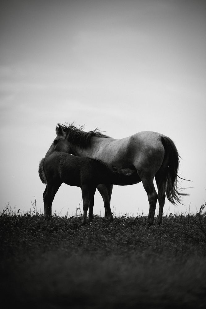 Photograph by Photo By Sanna