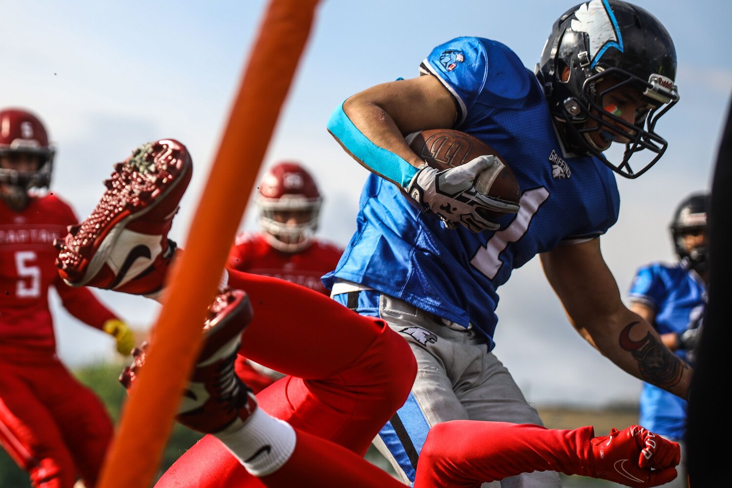 Photo #12343440