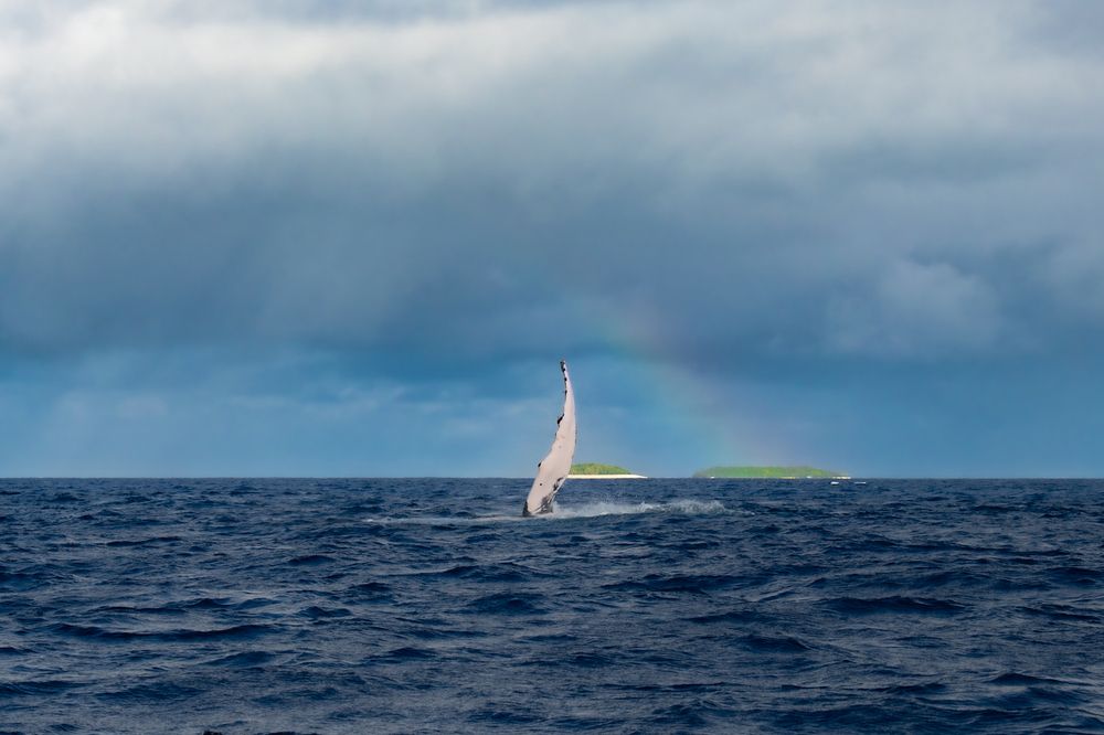 Photograph by nishijima takayuki