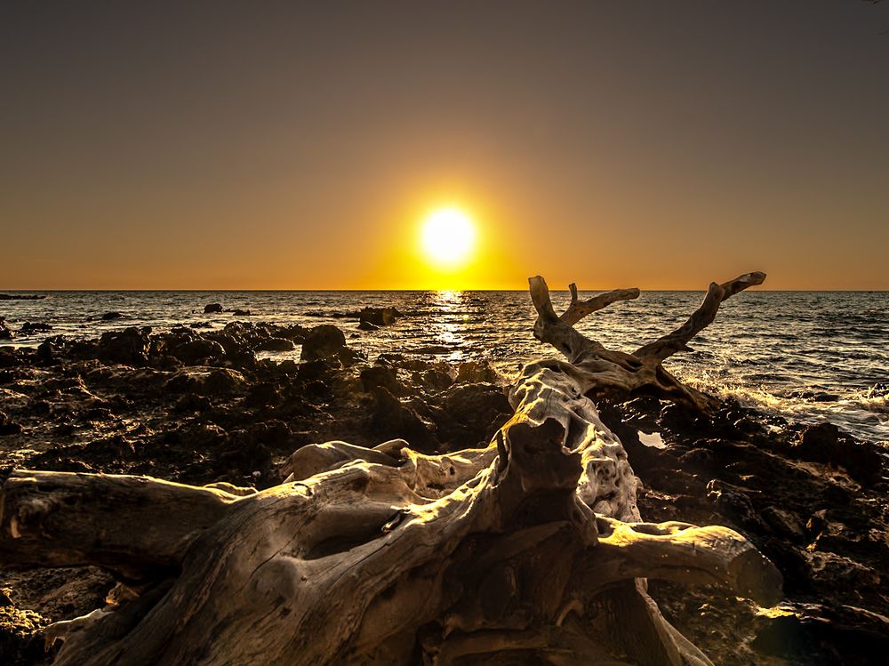 Photograph by nishijima takayuki