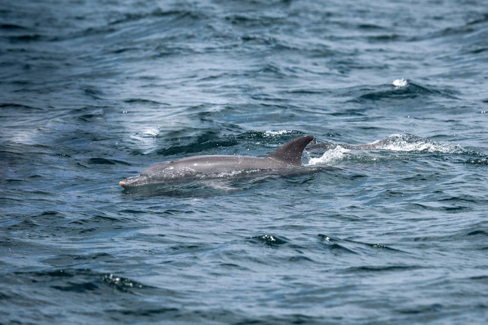 Photograph by Angelika Martko